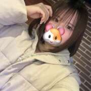 ヒメ日記 2026/02/06 11:32 投稿 おとは ホワイトベル