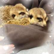 ヒメ日記 2025/02/05 21:55 投稿 ひづき 奥鉄オクテツ神奈川店（デリヘル市場グループ）