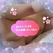 ヒメ日記 2025/04/10 12:15 投稿 ひづき 奥鉄オクテツ神奈川店（デリヘル市場グループ）