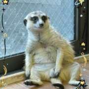 ひづき 極楽極楽〜 奥鉄オクテツ神奈川店（デリヘル市場グループ）