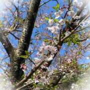 ヒメ日記 2026/04/11 21:40 投稿 ひづき 奥鉄オクテツ神奈川店（デリヘル市場グループ）