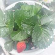 ヒメ日記 2026/04/12 09:50 投稿 ひづき 奥鉄オクテツ神奈川店（デリヘル市場グループ）