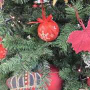 ヒメ日記 2024/12/25 10:18 投稿 みや お姉さんSelect