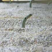 ヒメ日記 2025/01/02 23:26 投稿 みや お姉さんSelect