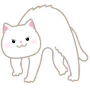 ヒメ日記 2025/01/11 10:56 投稿 みや お姉さんSelect