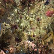 ヒメ日記 2025/03/23 10:59 投稿 みや お姉さんSelect