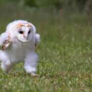 ヒメ日記 2025/03/30 22:26 投稿 みや お姉さんSelect