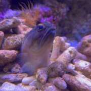 ヒメ日記 2025/03/31 18:56 投稿 みや お姉さんSelect