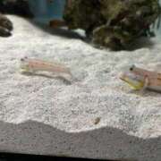 ヒメ日記 2025/04/21 21:23 投稿 みや お姉さんSelect