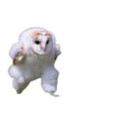 ヒメ日記 2025/04/30 00:16 投稿 みや お姉さんSelect