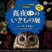 ヒメ日記 2025/05/02 23:36 投稿 みや お姉さんSelect