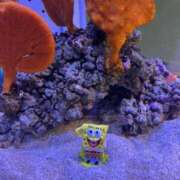 ヒメ日記 2025/05/28 23:12 投稿 みや お姉さんSelect