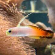 ヒメ日記 2025/05/29 21:06 投稿 みや お姉さんSelect