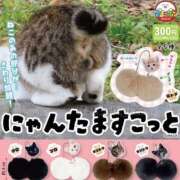 ヒメ日記 2025/06/04 11:01 投稿 みや お姉さんSelect