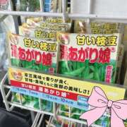 ヒメ日記 2025/06/23 23:16 投稿 みや お姉さんSelect