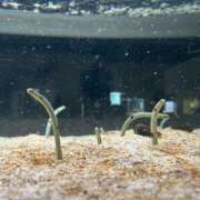 ヒメ日記 2025/07/06 23:46 投稿 みや お姉さんSelect