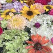 ヒメ日記 2025/07/30 11:16 投稿 みや お姉さんSelect