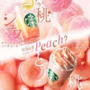 ヒメ日記 2025/08/04 09:46 投稿 みや お姉さんSelect