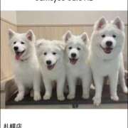 ヒメ日記 2025/08/21 23:16 投稿 みや お姉さんSelect