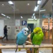 ヒメ日記 2025/08/23 22:19 投稿 みや お姉さんSelect