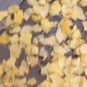 ヒメ日記 2025/11/09 22:47 投稿 みや お姉さんSelect