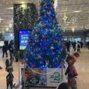 みや 日記ネタ🐈‍⬛" お姉さんSelect