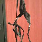 みや 日記ネタ🐈‍⬛" お姉さんSelect