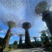 ヒメ日記 2026/04/09 12:39 投稿 みずき 彼女の部屋本店