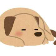 ひまわり 女子になりました🙇‍♀️ 熟女の風俗最終章 相模原店