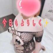 ひまわり 今日の合言葉🍣 熟女の風俗最終章 町田店