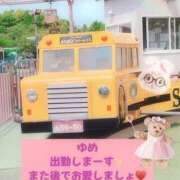 ヒメ日記 2025/05/11 08:40 投稿 ゆめ 人妻の秘密成田店