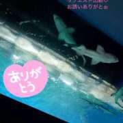ヒメ日記 2025/08/13 07:06 投稿 ゆめ 人妻の秘密成田店