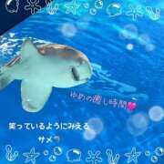 ヒメ日記 2025/11/04 09:20 投稿 ゆめ 人妻の秘密成田店