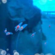 ヒメ日記 2025/11/22 08:31 投稿 ゆめ 人妻の秘密成田店