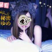 ヒメ日記 2026/02/24 23:16 投稿 ゆめ 人妻の秘密成田店