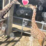 ヒメ日記 2026/03/08 08:00 投稿 ゆめ 人妻の秘密成田店