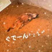 ヒメ日記 2026/03/21 12:49 投稿 ゆめ 人妻の秘密成田店