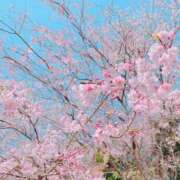 ヒメ日記 2026/03/29 08:22 投稿 ゆめ 人妻の秘密成田店