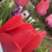 ヒメ日記 2026/04/04 22:41 投稿 ゆめ 人妻の秘密成田店