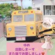 ヒメ日記 2026/07/30 08:00 投稿 ゆめ 人妻の秘密成田店