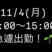 ヒメ日記 2024/11/04 01:09 投稿 ふたば ナイスレディ