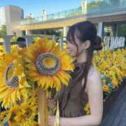 ヒメ日記 2025/07/27 00:13 投稿 綺咲ゆず LUXE(リュクス)