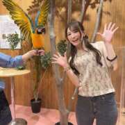 ヒメ日記 2025/08/24 10:58 投稿 綺咲ゆず LUXE(リュクス)