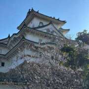 ヒメ日記 2024/12/09 23:02 投稿 あみ 西船人妻花壇