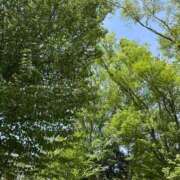 ヒメ日記 2025/05/05 11:15 投稿 あみ 西船人妻花壇