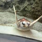 ヒメ日記 2025/05/11 20:02 投稿 あみ 西船人妻花壇