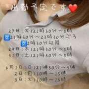 ヒメ日記 2025/05/26 11:00 投稿 あみ 西船人妻花壇