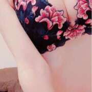 ヒメ日記 2025/02/22 17:02 投稿 ひめたん ぷるるん小町日本橋店