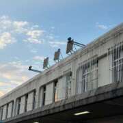 ヒメ日記 2026/01/05 17:20 投稿 らんる PRISM(都城)