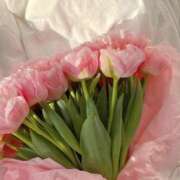 ヒメ日記 2024/12/08 10:02 投稿 新人・芹香(せりか) グランドオペラ福岡